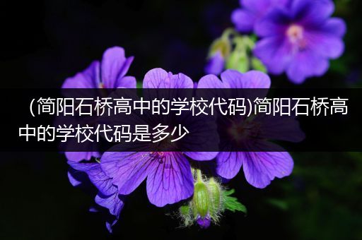 （简阳石桥高中的学校代码)简阳石桥高中的学校代码是多少