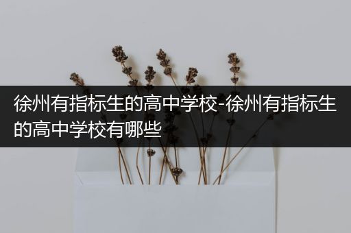 徐州有指标生的高中学校-徐州有指标生的高中学校有哪些