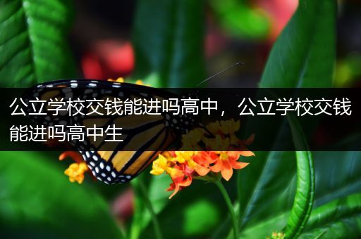 公立学校交钱能进吗高中，公立学校交钱能进吗高中生