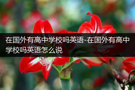 在国外有高中学校吗英语-在国外有高中学校吗英语怎么说