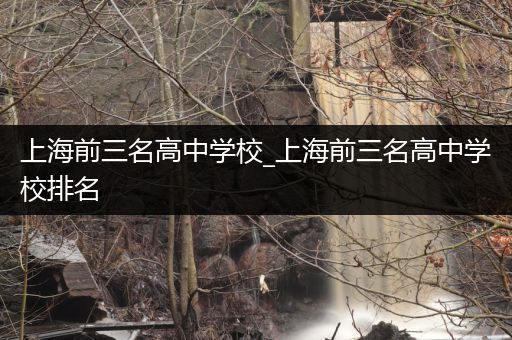上海前三名高中学校_上海前三名高中学校排名