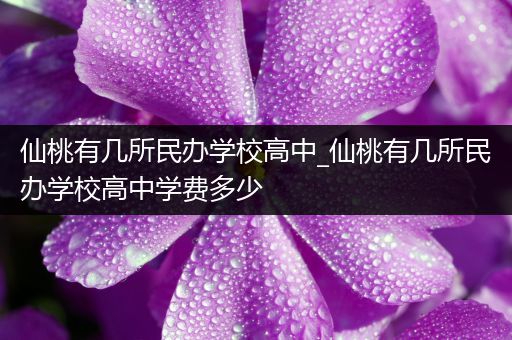 仙桃有几所民办学校高中_仙桃有几所民办学校高中学费多少