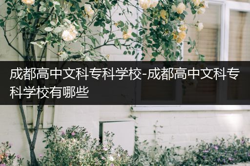 成都高中文科专科学校-成都高中文科专科学校有哪些