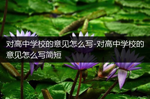 对高中学校的意见怎么写-对高中学校的意见怎么写简短