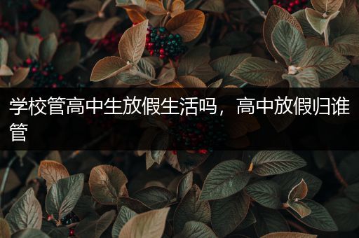 学校管高中生放假生活吗，高中放假归谁管
