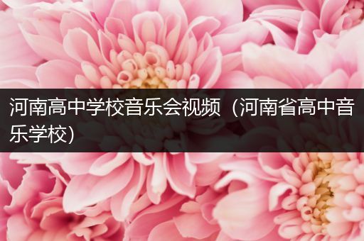 河南高中学校音乐会视频（河南省高中音乐学校）