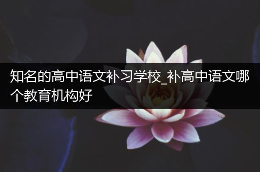 知名的高中语文补习学校_补高中语文哪个教育机构好