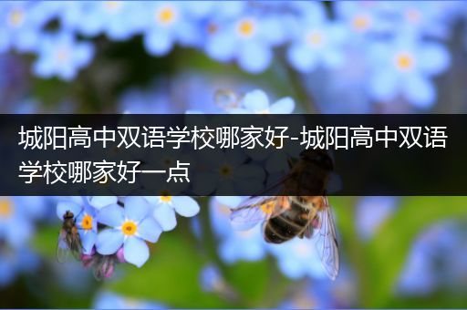 城阳高中双语学校哪家好-城阳高中双语学校哪家好一点