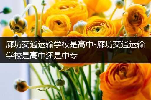 廊坊交通运输学校是高中-廊坊交通运输学校是高中还是中专