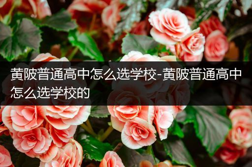 黄陂普通高中怎么选学校-黄陂普通高中怎么选学校的