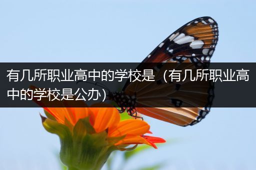有几所职业高中的学校是（有几所职业高中的学校是公办）