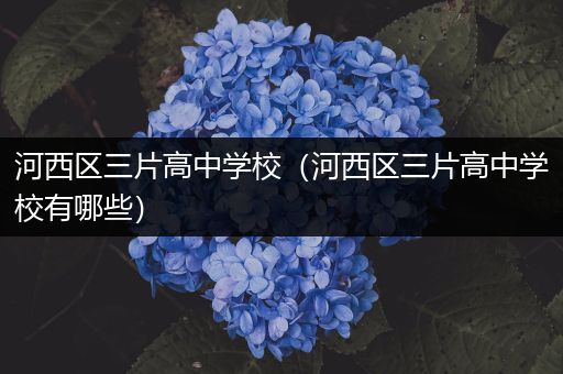 河西区三片高中学校（河西区三片高中学校有哪些）