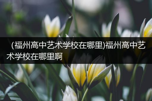 （福州高中艺术学校在哪里)福州高中艺术学校在哪里啊