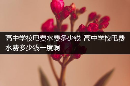 高中学校电费水费多少钱_高中学校电费水费多少钱一度啊