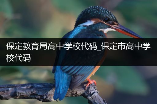保定教育局高中学校代码_保定市高中学校代码