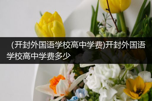 （开封外国语学校高中学费)开封外国语学校高中学费多少