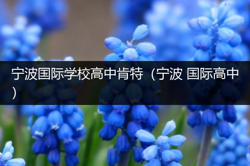 宁波国际学校高中肯特（宁波 国际高中）