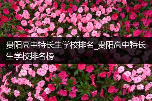贵阳高中特长生学校排名_贵阳高中特长生学校排名榜