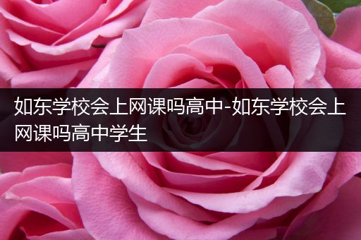 如东学校会上网课吗高中-如东学校会上网课吗高中学生