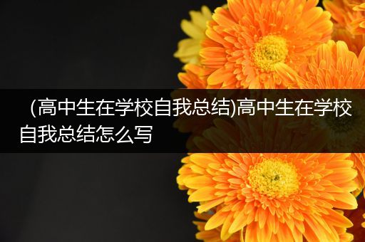（高中生在学校自我总结)高中生在学校自我总结怎么写