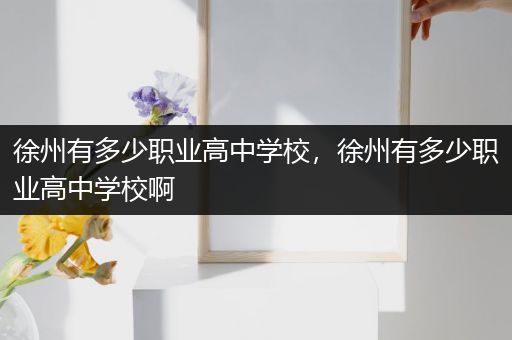 徐州有多少职业高中学校，徐州有多少职业高中学校啊
