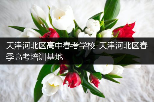 天津河北区高中春考学校-天津河北区春季高考培训基地