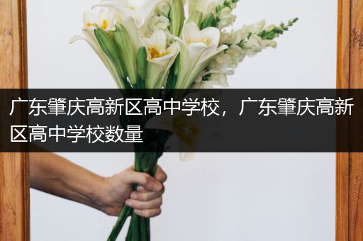 广东肇庆高新区高中学校，广东肇庆高新区高中学校数量