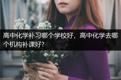 高中化学补习哪个学校好，高中化学去哪个机构补课好?