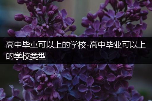 高中毕业可以上的学校-高中毕业可以上的学校类型