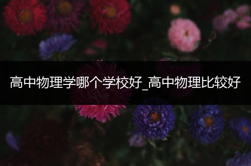 高中物理学哪个学校好_高中物理比较好