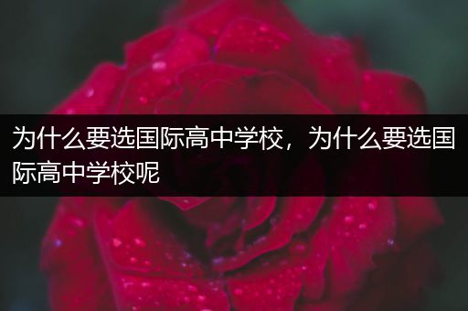 为什么要选国际高中学校，为什么要选国际高中学校呢
