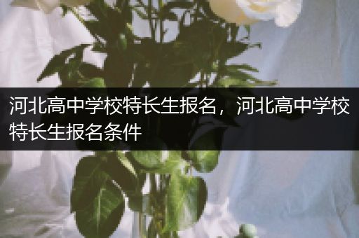 河北高中学校特长生报名，河北高中学校特长生报名条件