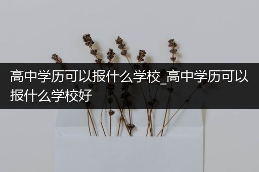 高中学历可以报什么学校_高中学历可以报什么学校好