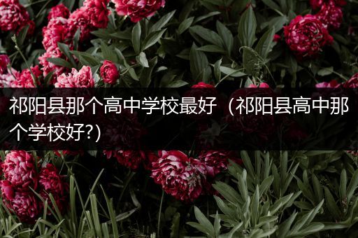 祁阳县那个高中学校最好（祁阳县高中那个学校好?）