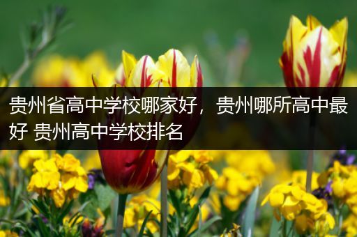 贵州省高中学校哪家好，贵州哪所高中最好 贵州高中学校排名