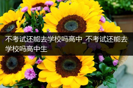 不考试还能去学校吗高中_不考试还能去学校吗高中生