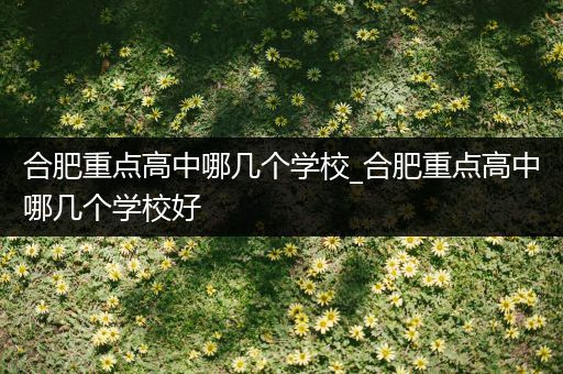 合肥重点高中哪几个学校_合肥重点高中哪几个学校好