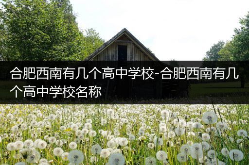 合肥西南有几个高中学校-合肥西南有几个高中学校名称