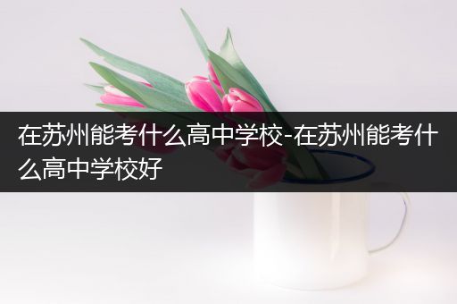 在苏州能考什么高中学校-在苏州能考什么高中学校好