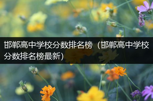 邯郸高中学校分数排名榜（邯郸高中学校分数排名榜最新）