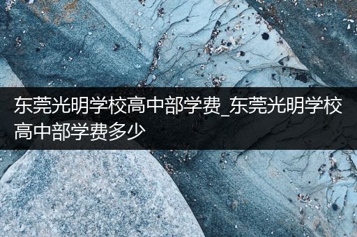 东莞光明学校高中部学费_东莞光明学校高中部学费多少