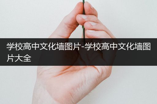 学校高中文化墙图片-学校高中文化墙图片大全