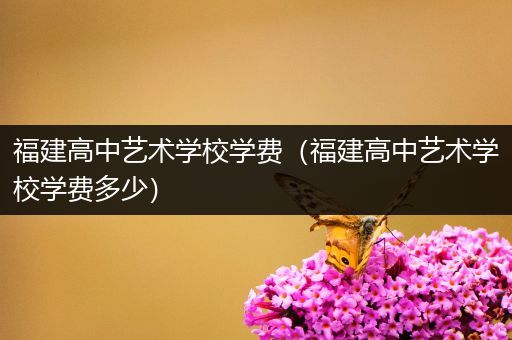 福建高中艺术学校学费（福建高中艺术学校学费多少）