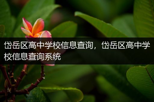 岱岳区高中学校信息查询，岱岳区高中学校信息查询系统