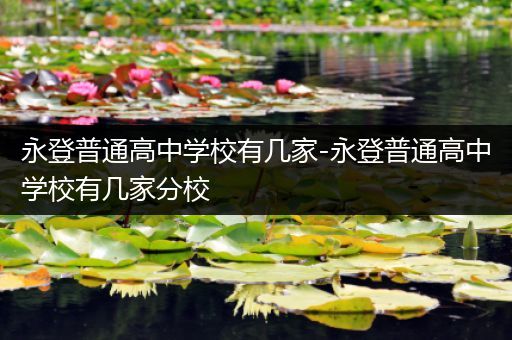 永登普通高中学校有几家-永登普通高中学校有几家分校