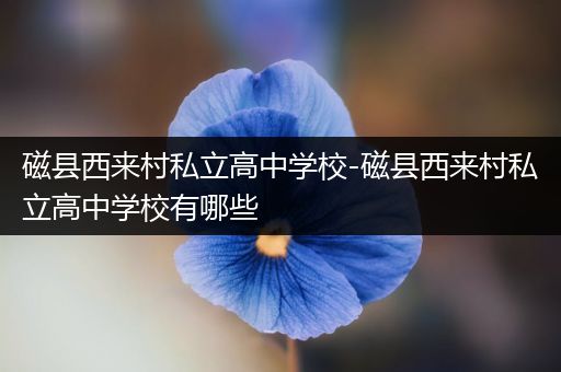 磁县西来村私立高中学校-磁县西来村私立高中学校有哪些