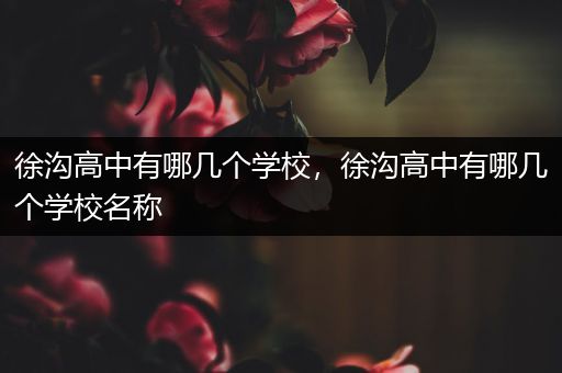 徐沟高中有哪几个学校，徐沟高中有哪几个学校名称