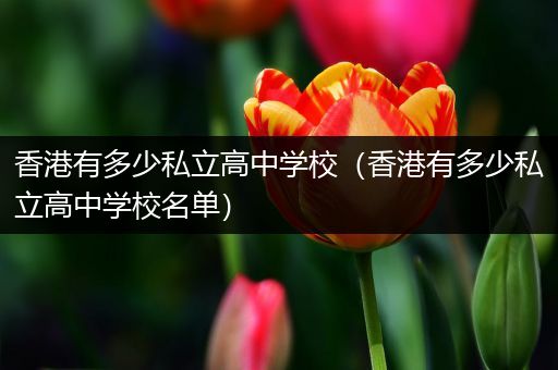 香港有多少私立高中学校（香港有多少私立高中学校名单）
