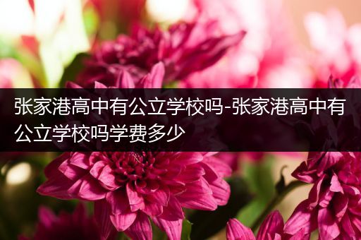 张家港高中有公立学校吗-张家港高中有公立学校吗学费多少