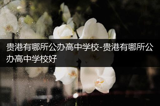 贵港有哪所公办高中学校-贵港有哪所公办高中学校好
